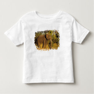 Africa, Zimbabwe, Victoria Falls National Park. Toddler T-shirt