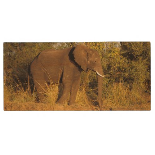 Africa Zimbabwe Victoria Falls National Park Wood USB Flash Drive