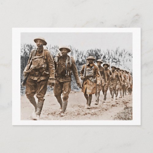 African American Soldiers WWI Postcard