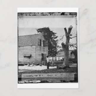 African Americans preparing cotton circa 1862 Postcard