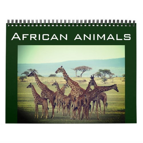 african animals 2025 calendar