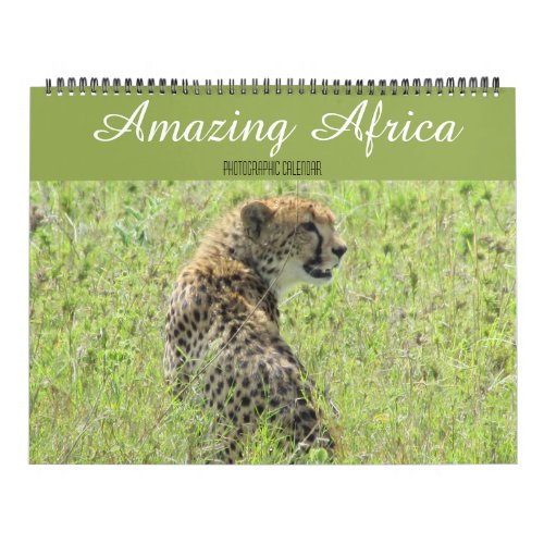 african animals 2025 large calendar