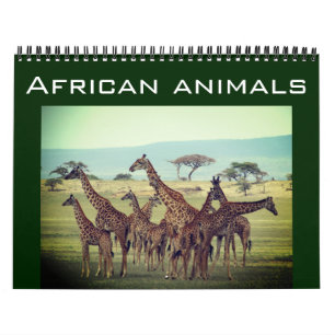 african animals 2027 calendar