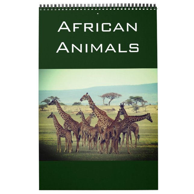 african animals 2027 calendar (Cover)