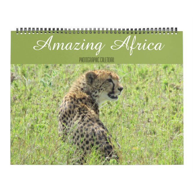 african animals 2027 large calendar (Cover)