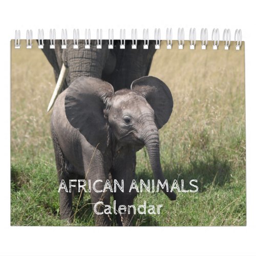 African Animals Calendar