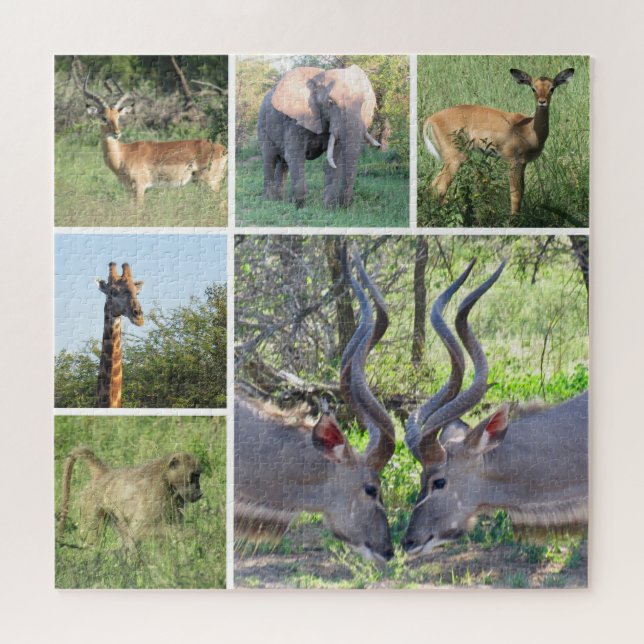 african animals jigsaw puzzle (Horizontal)