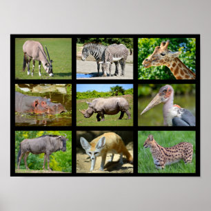 African animals mosaic poster