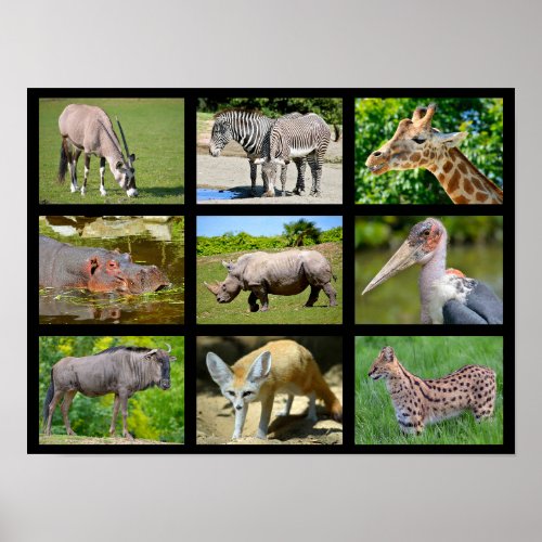 African animals mosaic poster