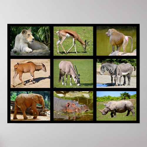 African animals mosaic poster