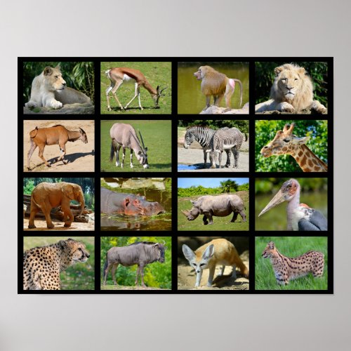 African animals mosaic poster