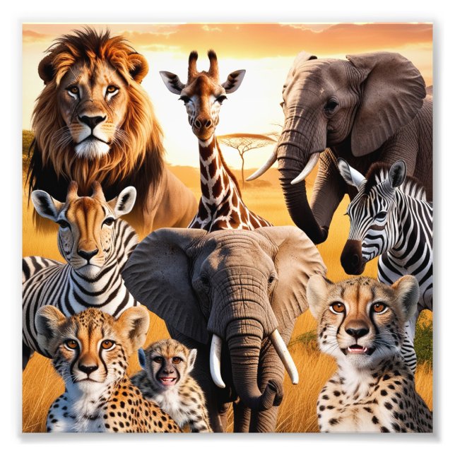African animals photo print (Front)