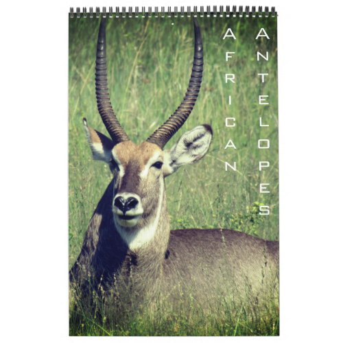 AFRICAN ANTELOPE SAFARI 2024 CALENDAR | Gabriel Angel Design