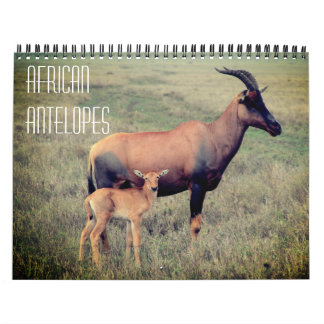 african antelopes 2026 calendar