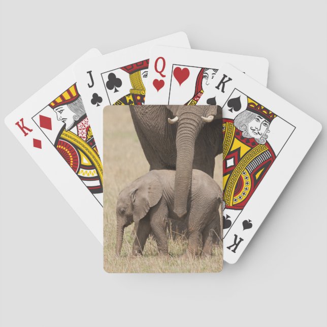 African Baby Elephant with Mother Poker Cards (Back)