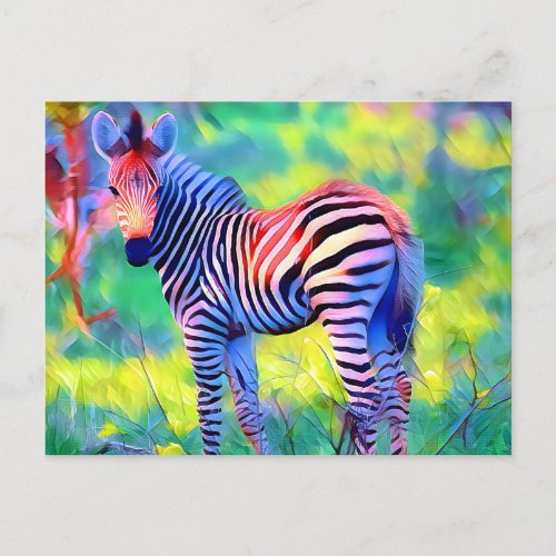 African baby zebra postcard