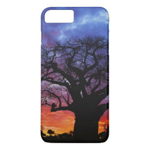 African baobab tree, Adansonia digitata, 2 iPhone 8 Plus/7 Plus Case