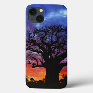 African baobab tree, Adansonia digitata, 2 iPhone 13 Case