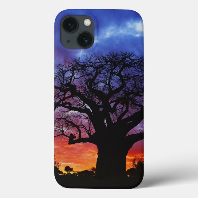 African baobab tree, Adansonia digitata, 2 Case-Mate iPhone Case (Back)