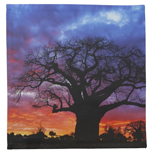 African baobab tree, Adansonia digitata, 2 Cloth Napkin (Front)