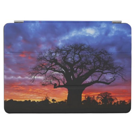African Baobab Tree, Adansonia Digitata, 2 Ipad Air Cover