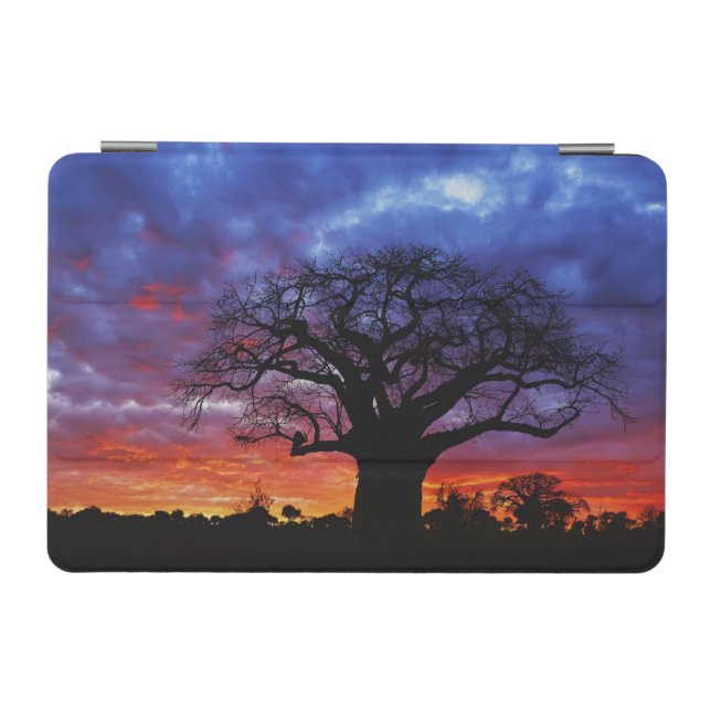 African baobab tree, Adansonia digitata, 2 iPad Mini Cover (Horizontal)