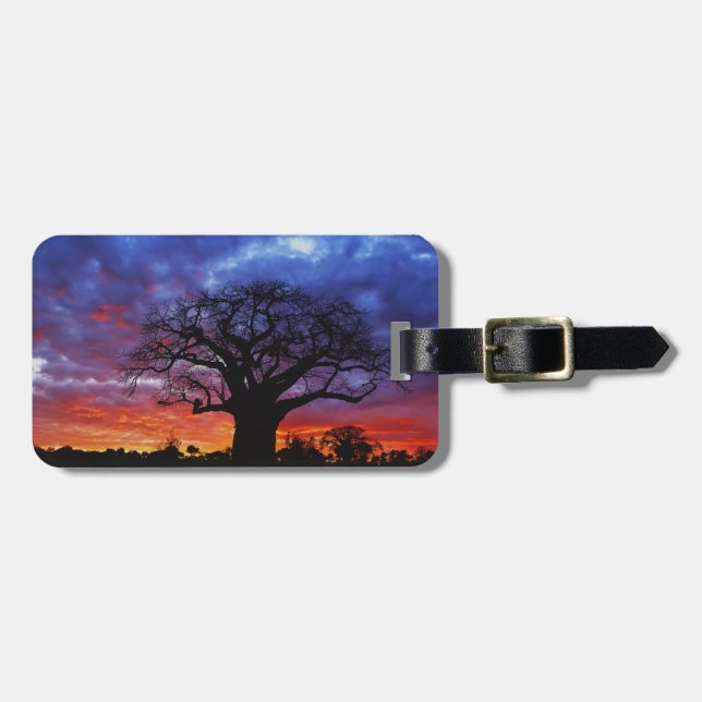African baobab tree, Adansonia digitata, 2 Luggage Tag (Front Horizontal)