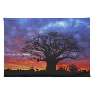 African baobab tree, Adansonia digitata, 2 Placemat