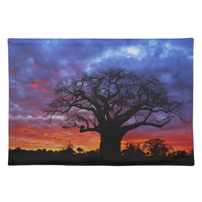 African baobab tree, Adansonia digitata, 2 Placemat (Front)