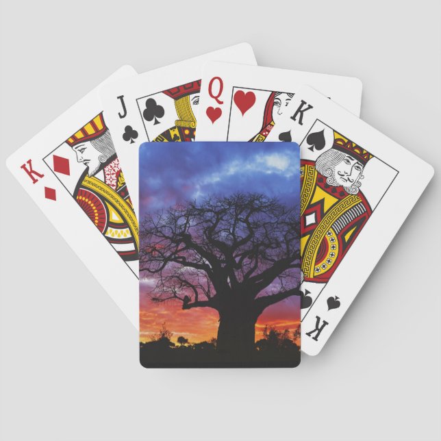 African baobab tree, Adansonia digitata, 2 Poker Cards (Back)