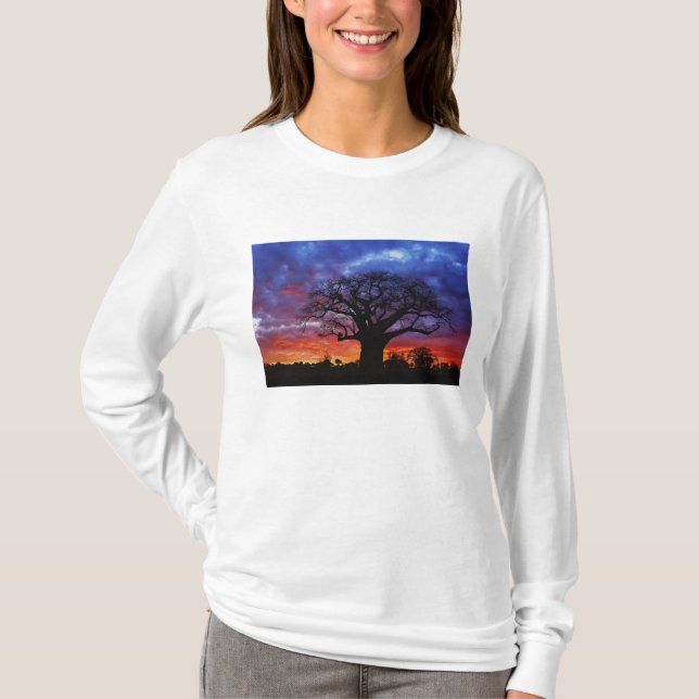 African baobab tree, Adansonia digitata, 2 T-Shirt (Front)
