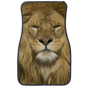 African Barbary Lion, Panthera leo leo, one of Car Mat