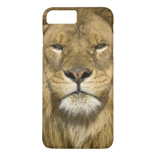 African Barbary Lion Panthera leo leo one of iPhone 8 Plus7 Plus Case