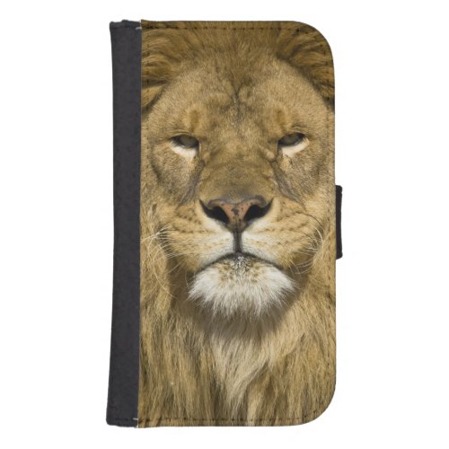 African Barbary Lion Panthera leo leo one of Samsung S4 Wallet Case