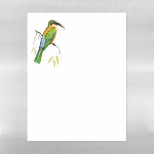 African bird, the Somali Bee-eater Magnetic Dry Erase Sheet