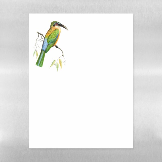 African bird, the Somali Bee-eater Magnetic Dry Erase Sheet (Vertical)