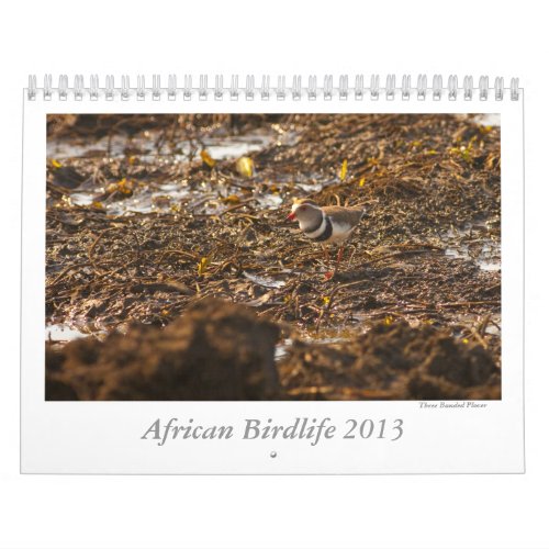 African Birdlife Calendar