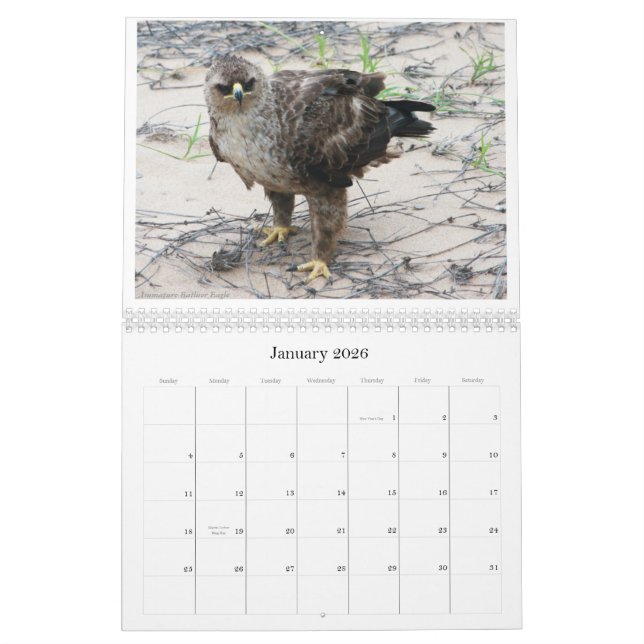 African Birdlife Calendar (Jan 2026)