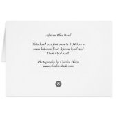 African Blue Basil Cards (Back Horizontal)