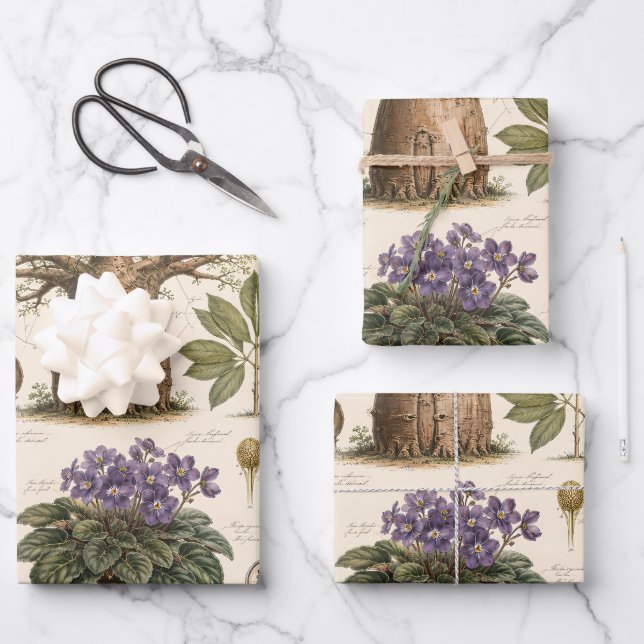 "African Botanical Atlas  Wrapping Paper Sheets (Front)