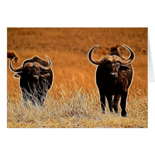 African Buffalo Cards (Front Horizontal)