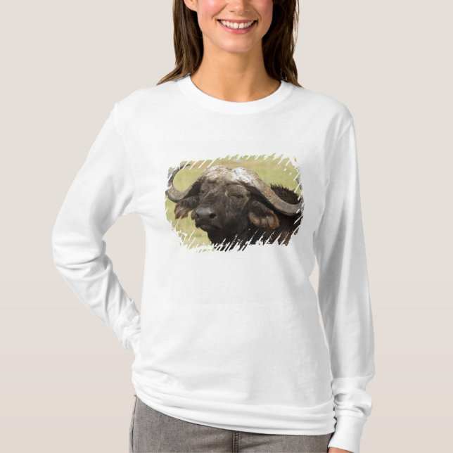 African Buffalo, Syncerus caffer T-Shirt (Front)