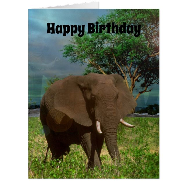 African Bull Elephant, Jumbo Birthday Card (Front)