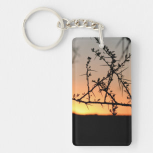 African Burchell's zebra with stripes in bushveld Keychain