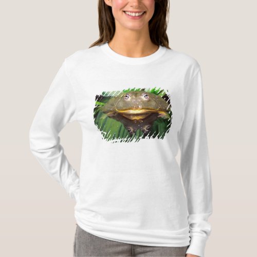 African Burrowing Bullfrog Pyxicephalus 2 T_Shirt