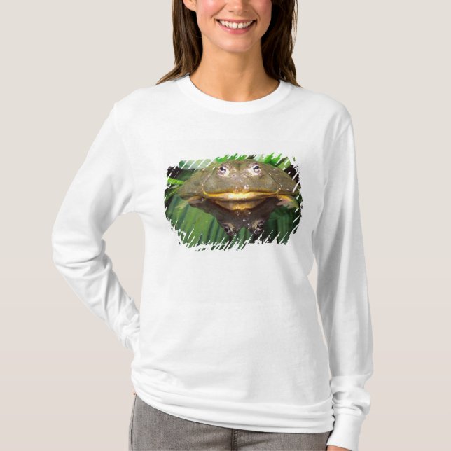 African Burrowing Bullfrog, Pyxicephalus 2 T-Shirt (Front)