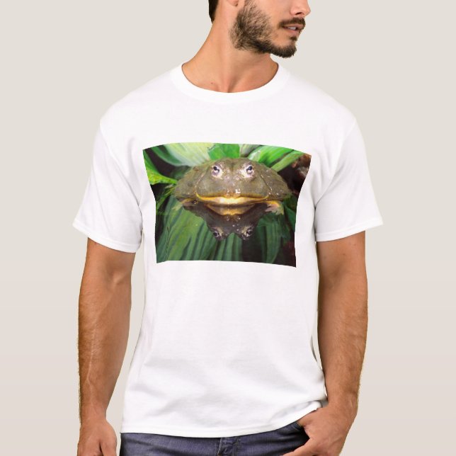 African Burrowing Bullfrog, Pyxicephalus 2 T-Shirt