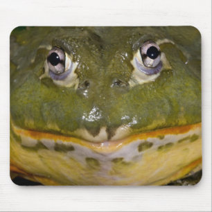 African Burrowing Bullfrog, Pyxicephalus Mouse Pad