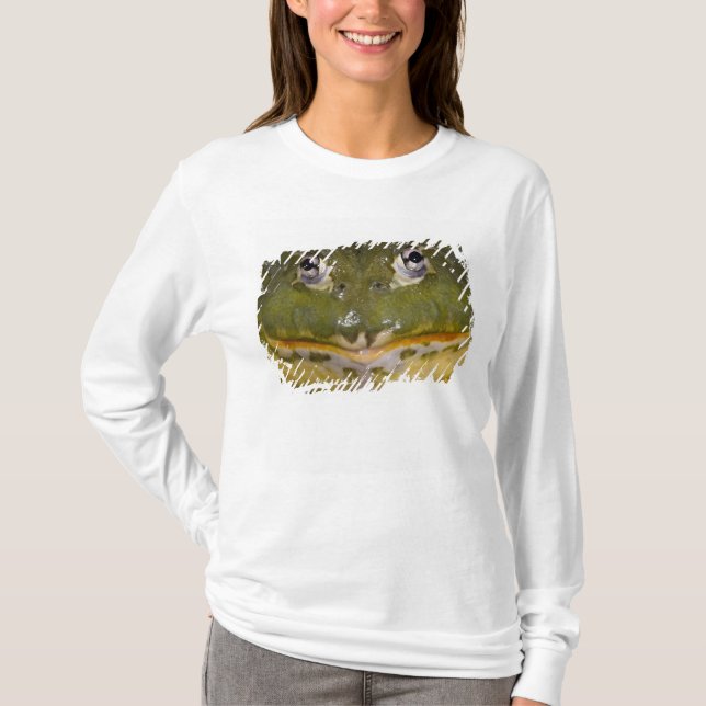 African Burrowing Bullfrog, Pyxicephalus T-Shirt (Front)