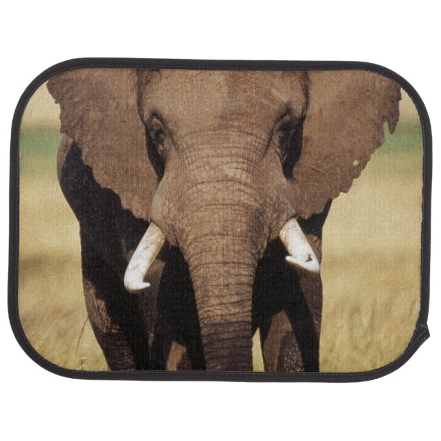 African Bush Elephant Car Mat (Rear)